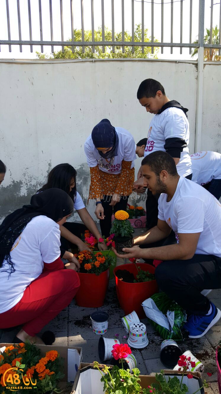 a3malkhayeret (50).jpg